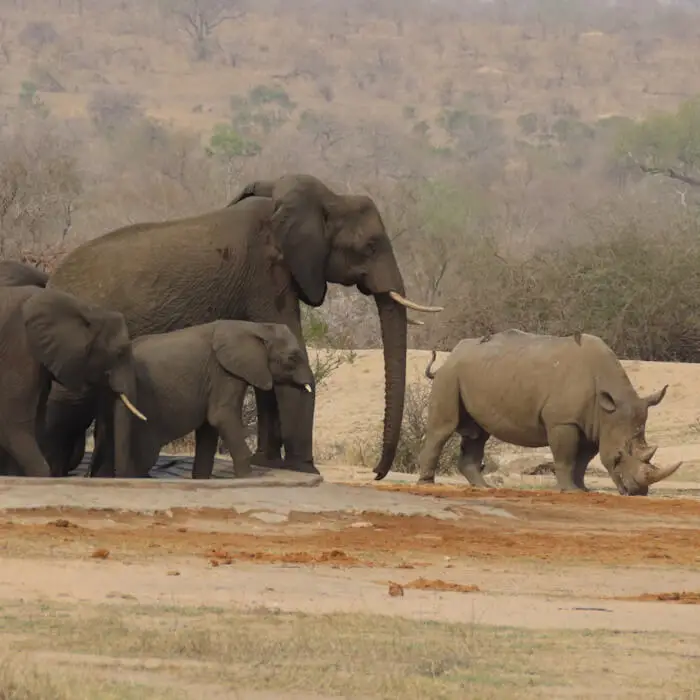 Full Day Safari Package